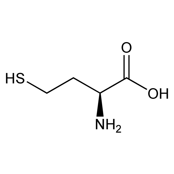 Graphical representation of Homocysteine