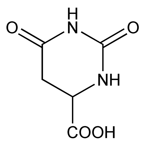 Graphical representation of Hydroorotic Acid