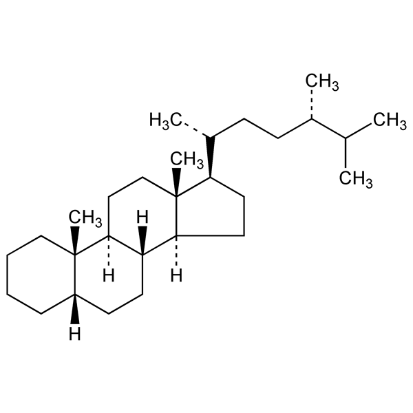 Graphical representation of Coproergostane