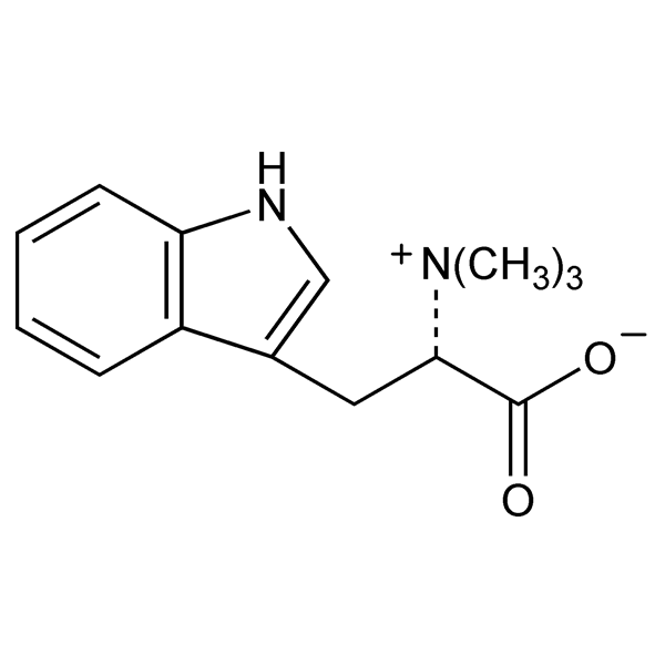 Graphical representation of Hypaphorine