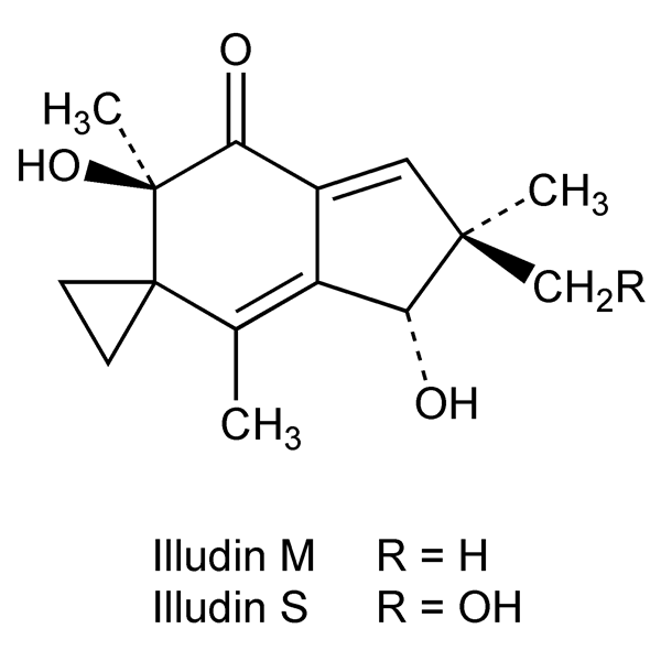 illudins-monograph-image