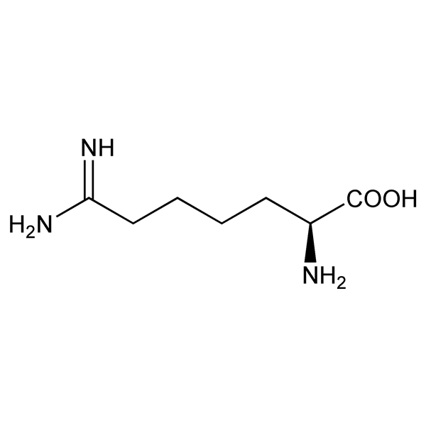 Graphical representation of Indospicine