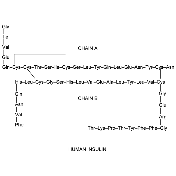 Graphical representation of Insulin