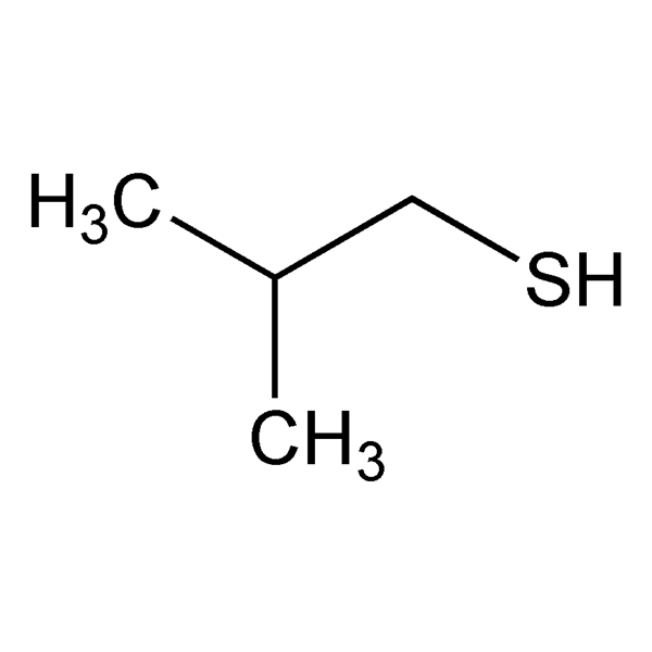 Graphical representation of Isobutyl Mercaptan