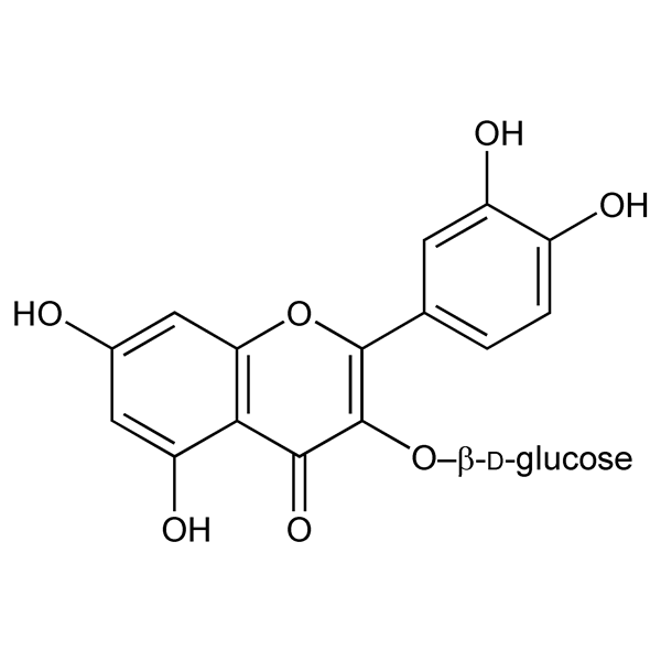 isoquercitrin-monograph-image