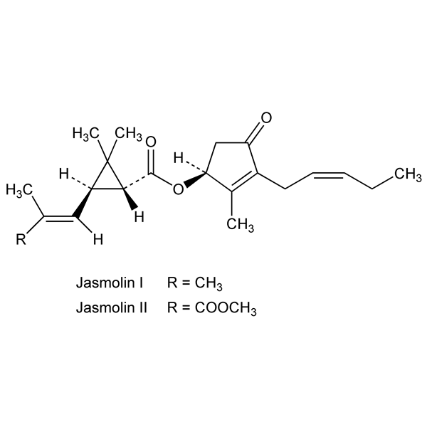 jasmolins-monograph-image