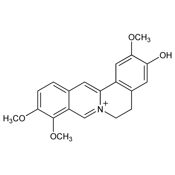 jatrorrhizine-monograph-image