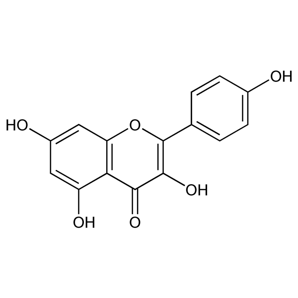 kaempferol-monograph-image