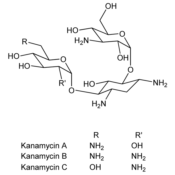 Graphical representation of Kanamycin