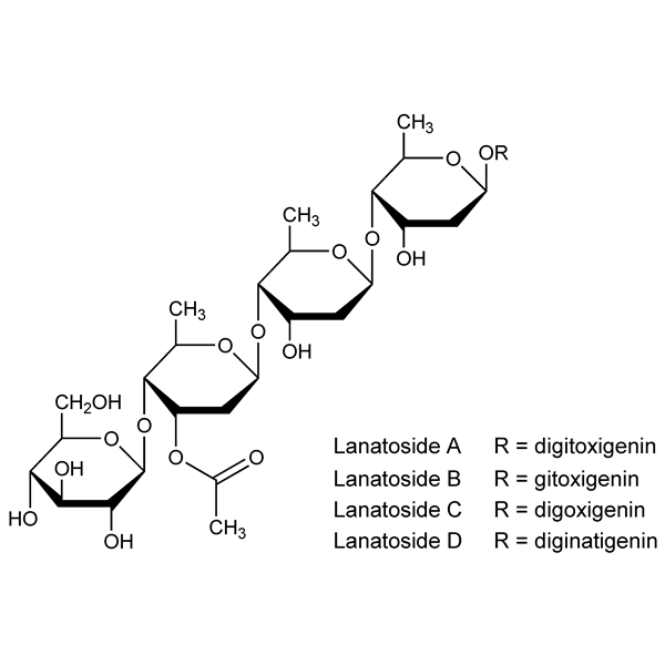 lanatosides-monograph-image