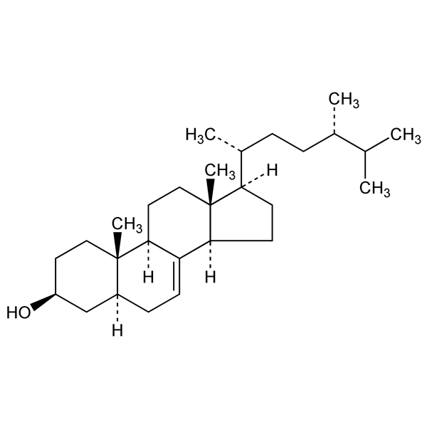 γ-ergostenol-monograph-image