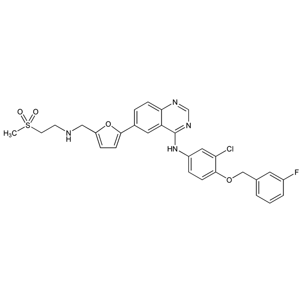 Graphical representation of Lapatinib