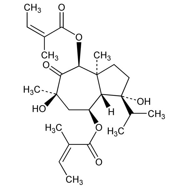 laserpitin-monograph-image