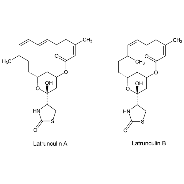 latrunculins-monograph-image