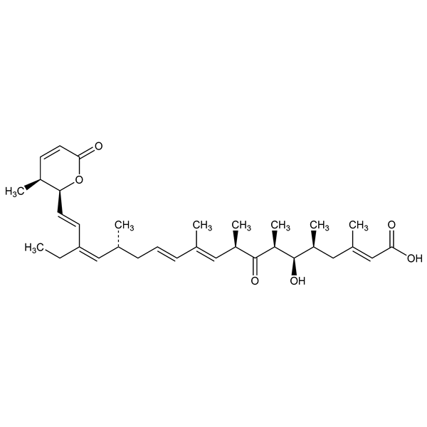 leptomycinb-monograph-image