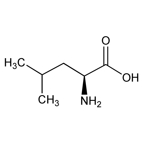 leucine-monograph-image