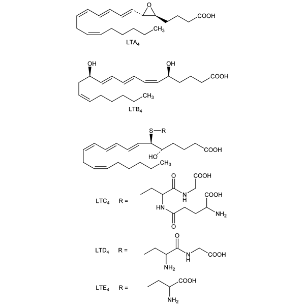 Graphical representation of Leukotrienes