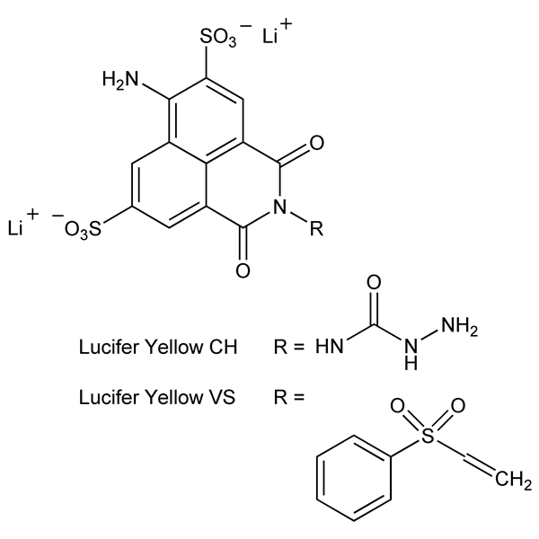 luciferyellows-monograph-image