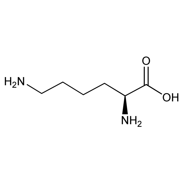 lysine-monograph-image