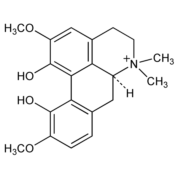 Graphical representation of Magnoflorine