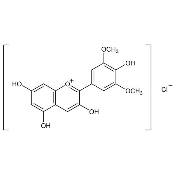 malvidinchloride-monograph-image