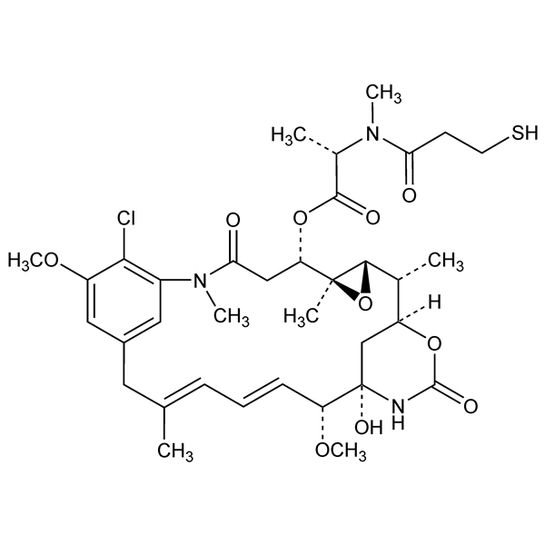 Graphical representation of Maytansinoid DM1