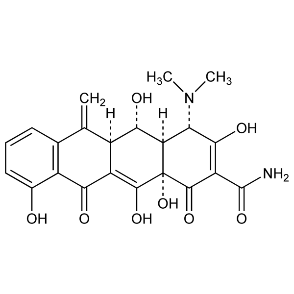 methacycline-monograph-image