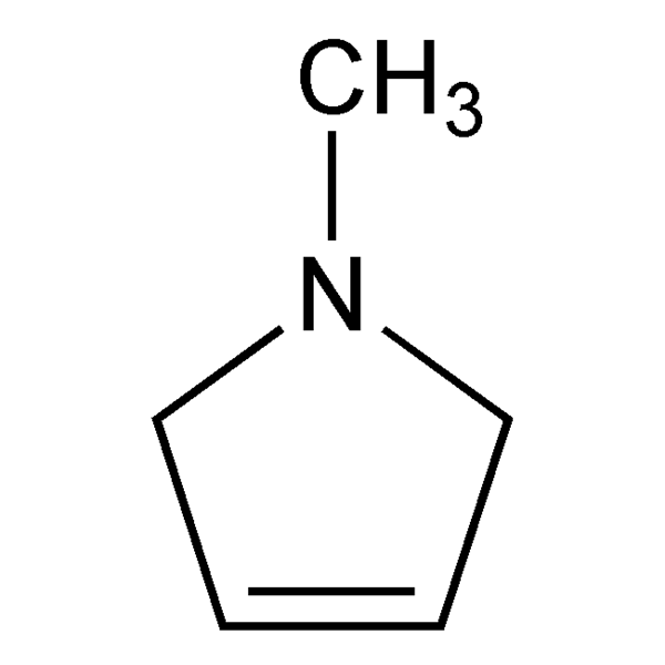 n-methylpyrroline-monograph-image