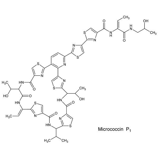 Graphical representation of Micrococcin P