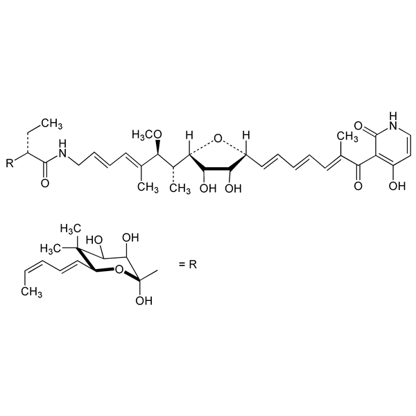 Graphical representation of Mocimycin