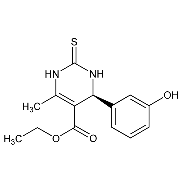 Graphical representation of Monastrol