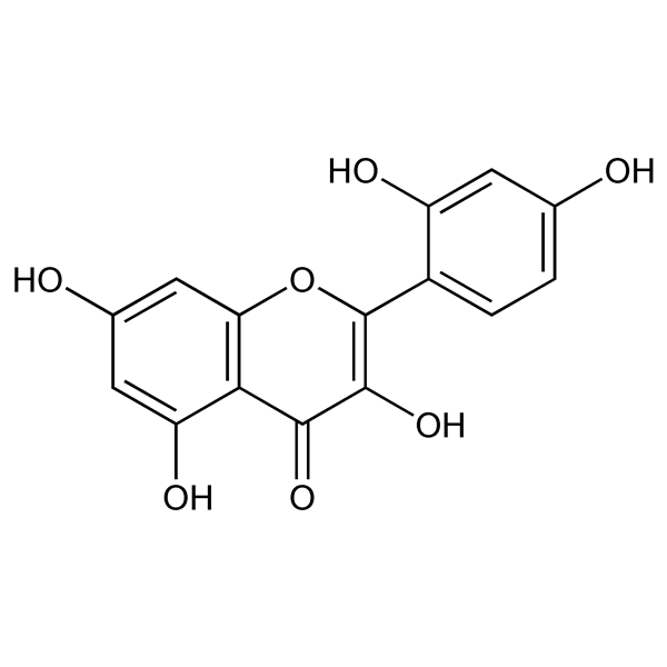 Graphical representation of Morin