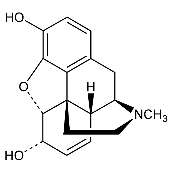 Graphical representation of Morphine