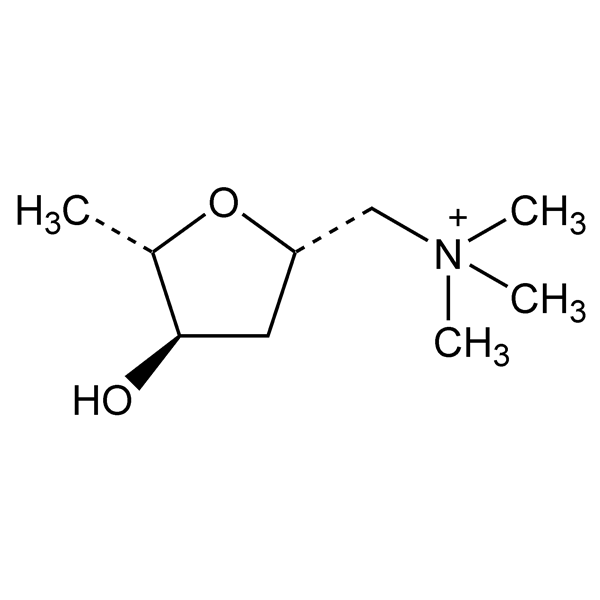 Graphical representation of Muscarine