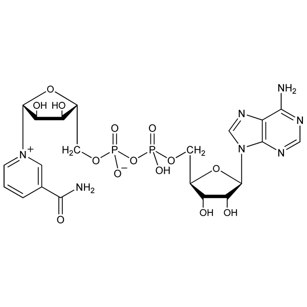 Graphical representation of NAD