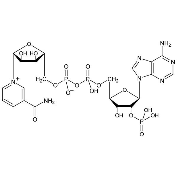 nadp-monograph-image