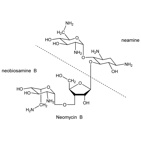 neomycin-monograph-image