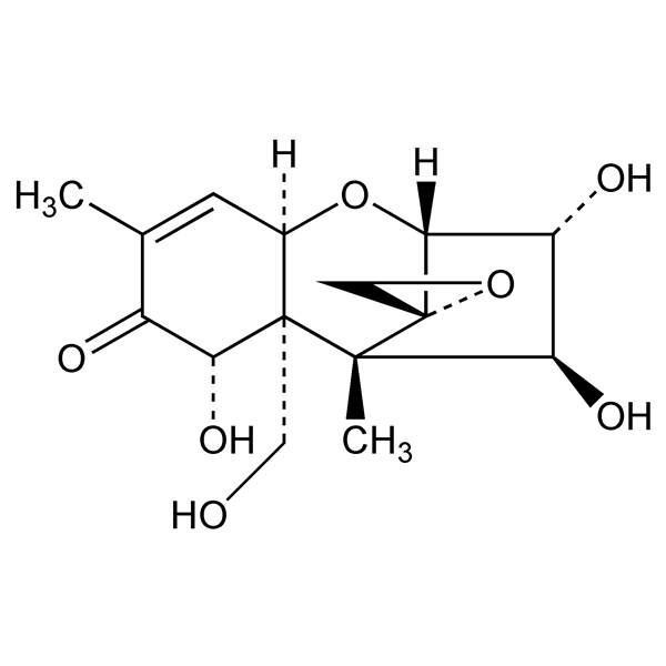 Graphical representation of Nivalenol