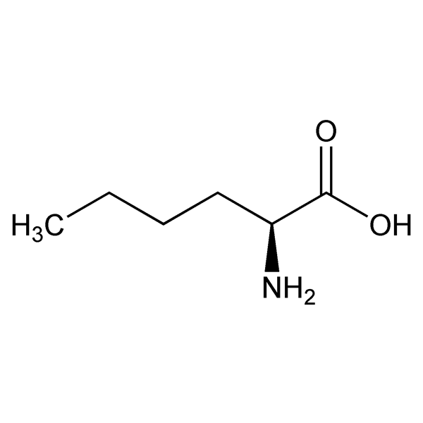 Graphical representation of Norleucine