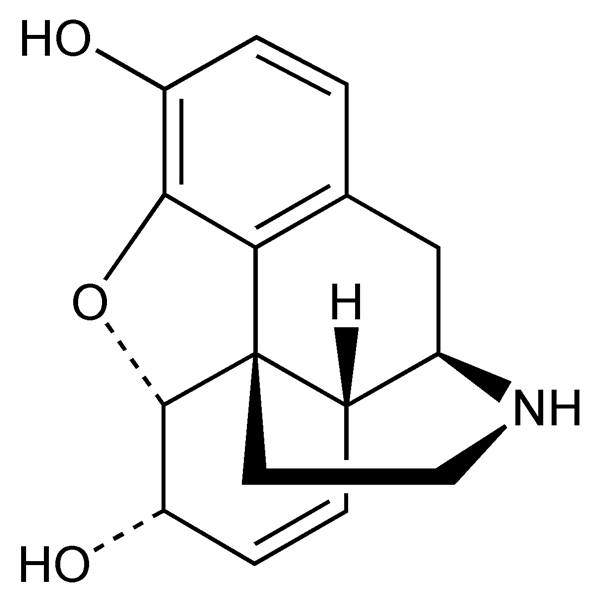 normorphine-monograph-image