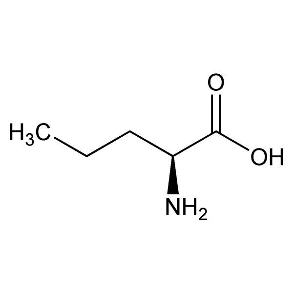 norvaline-monograph-image