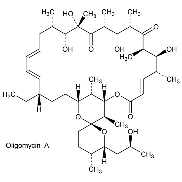 Graphical representation of Oligomycins