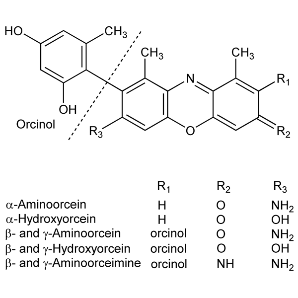 Graphical representation of Orcein