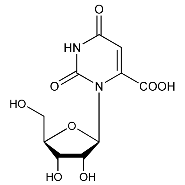 orotidine-monograph-image