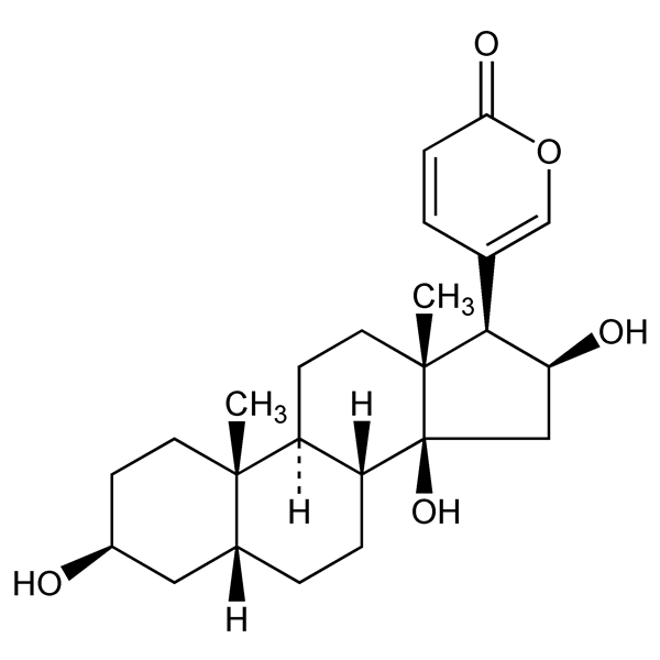 bufogeninb-monograph-image