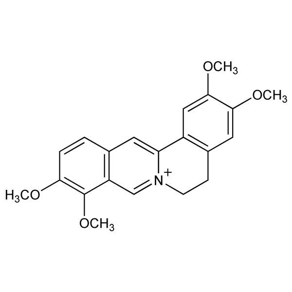 Graphical representation of Palmatine