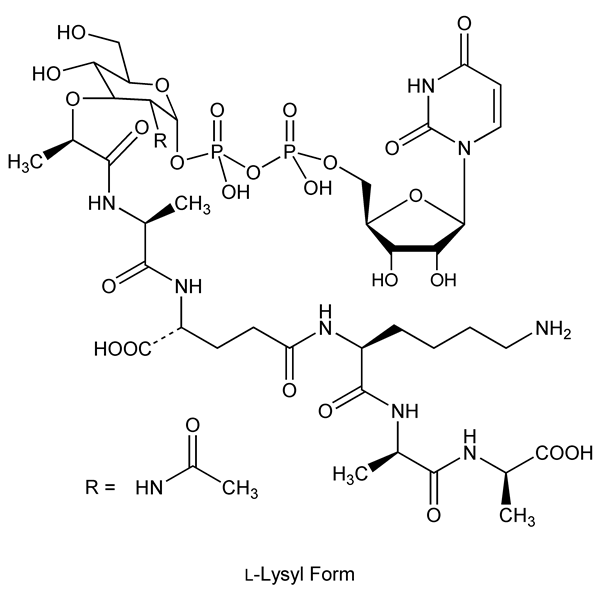 Graphical representation of Park Nucleotide