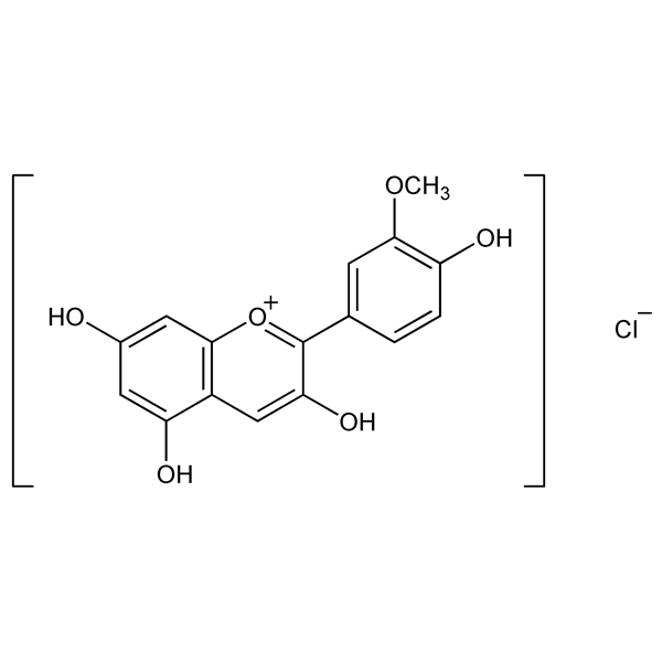 Graphical representation of Peonidin