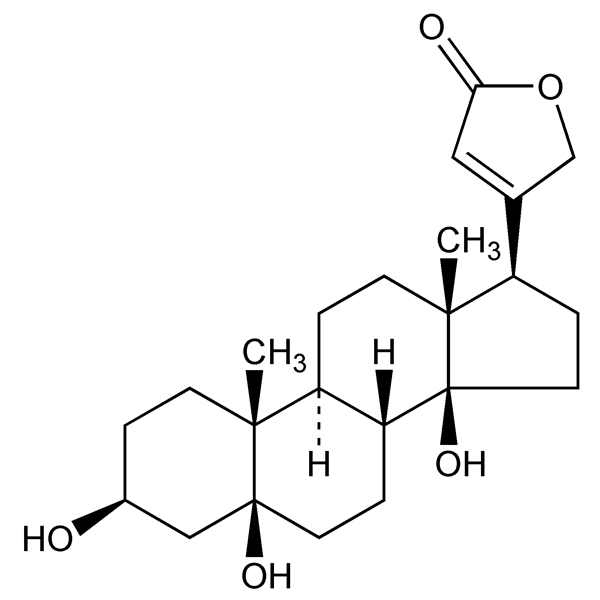 Graphical representation of Periplogenin