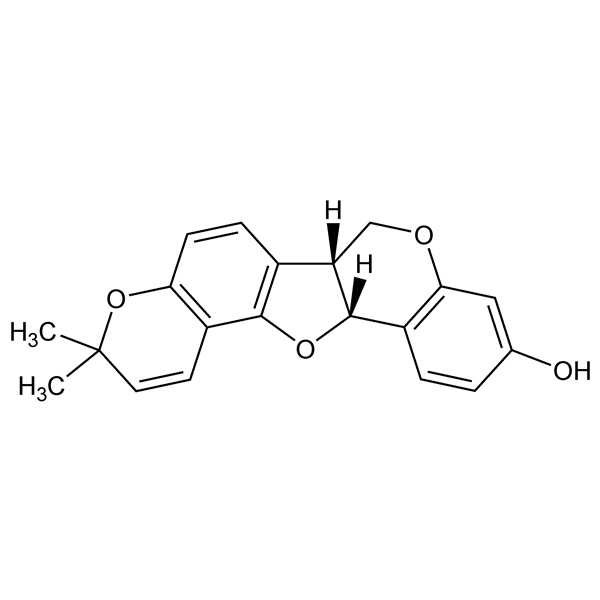 Graphical representation of Phaseolin